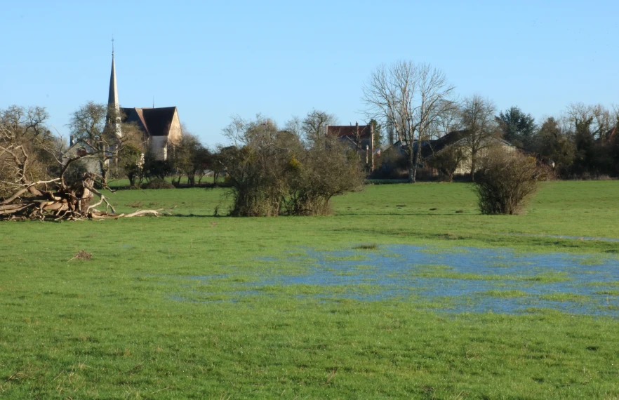 Photo des prairie humide à Davrey