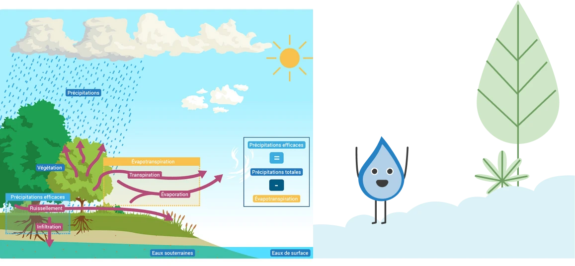 Illustration du cycle de l'eau