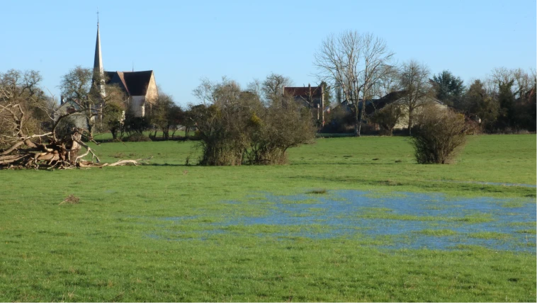 Photo des prairie humide à Davrey