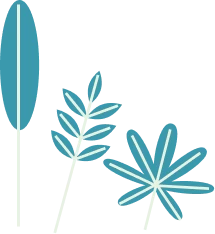 Illustration plante aquatique