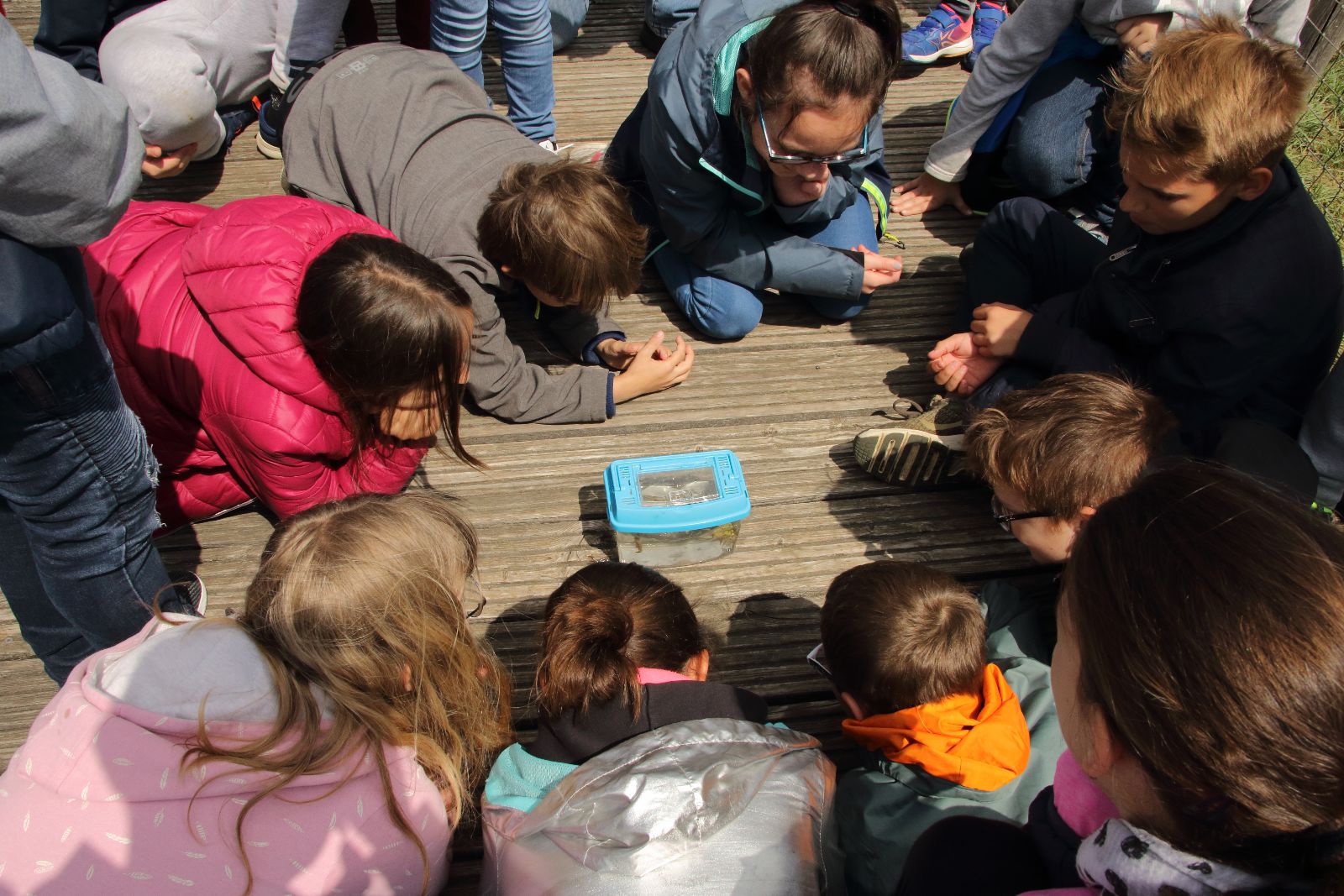 Partenariats éducatifs et classes d'eau