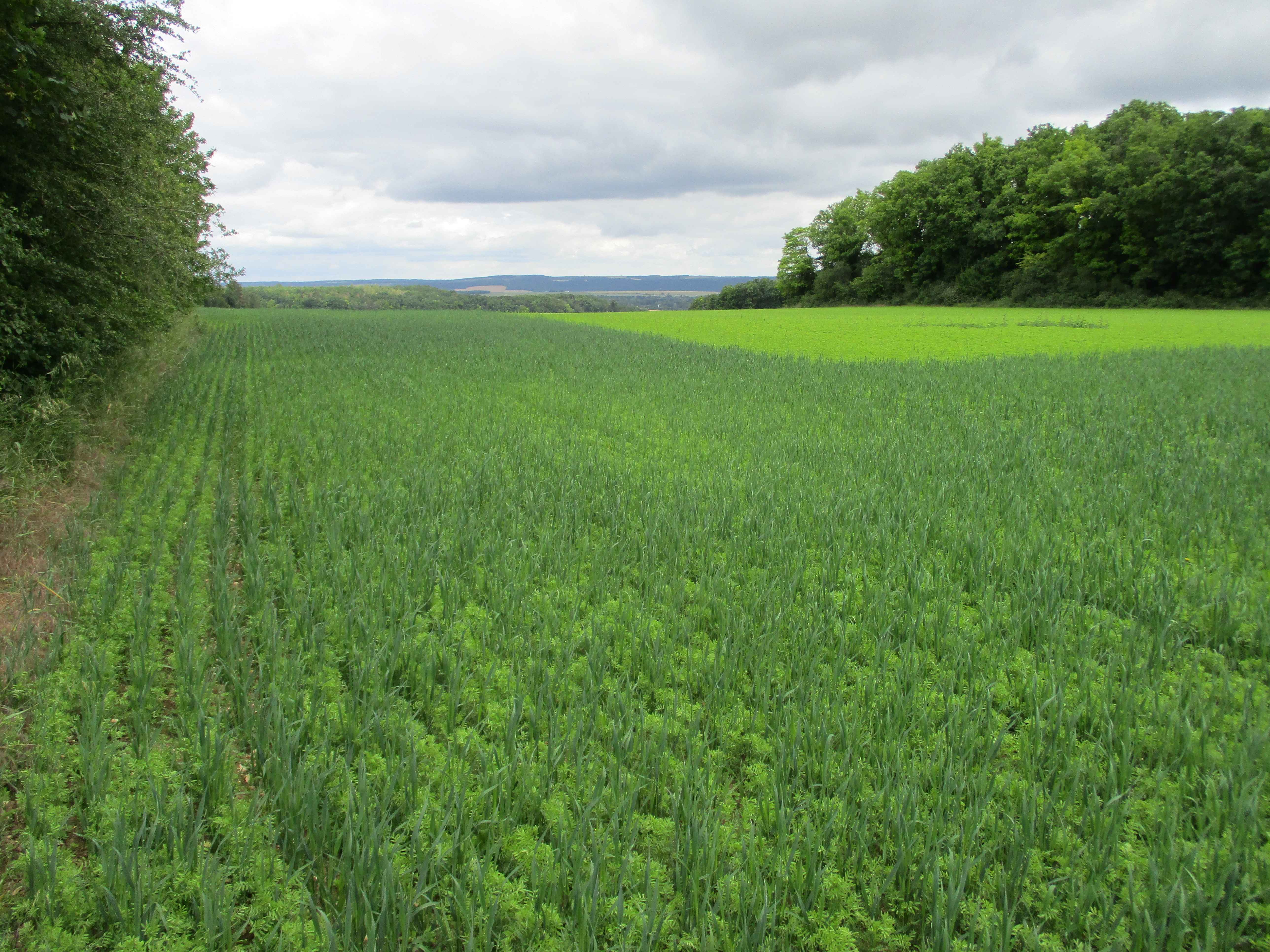 Stockage d'eau dans les sols